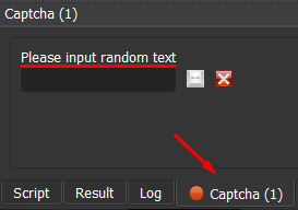captchauserinput.png